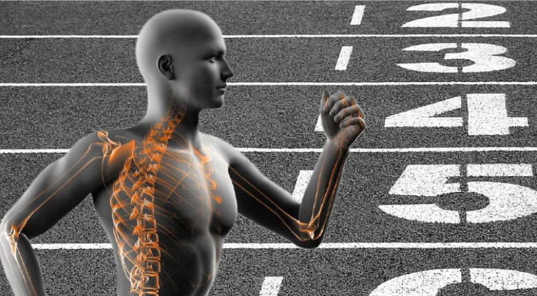 Curso INICIAL (2026)